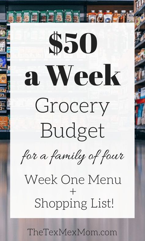 50 Dollar Grocery Budget, Budget Grocery Lists, Budget Grocery List, Budget Grocery, Cheap Meal Plans, Paleo Diet Meal Plan, Cheap Groceries, Power Snacks, Lunch Inspiration