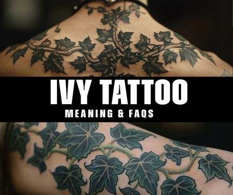 What is the significance of an ivy tattoo? Snake And Ivy Tattoo, Ivy Fine Line Tattoo, Fine Line Ivy Tattoo, Ivy Back Tattoo, Poison Ivy Tattoo Vines, Ivy Tattoo Vines For Women, Vine Tattoo Men, Ivy Leaves Tattoo, Ivy Meaning