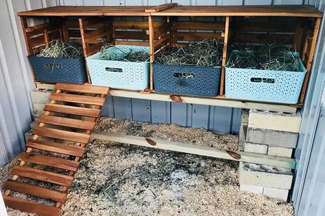 DIY chicken nesting box Kmart Hack, Cute Chicken Coops, Portable Chicken Coop, Chicken Nesting Boxes, Chicken Pen, Diy Chicken Coop Plans, Backyard Chicken Coop Plans, Backyard Chicken Farming, Best Chicken Coop