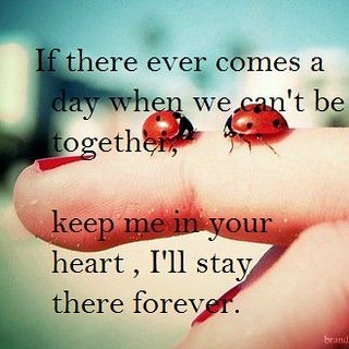 Ladybug Quotes, Lady Bug Tattoo, Cant Be Together, Miss You Dad, Ladybug Art, Lady Bug, Timeline Photos, Words Quotes, Favorite Quotes