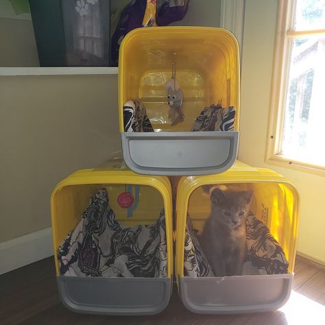 Upcycling, Kitty Litter Container Reuse, Tidy Cats Container Ideas, Dollar Store Cat Diy, Cat Litter Bucket Ideas, Cat Litter Bucket Repurpose, Repurpose Cat Litter Bucket, Litter Container Repurpose, Tidy Cat Bucket Ideas
