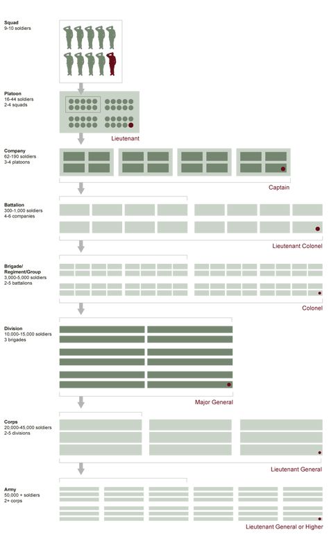 US Military Structure Chart Organisation, Fantasy Army Ranks, Army Structure, Army Ranks, Military Tactics, Military Ranks, Military Records, Navy Air Force, Military Insignia