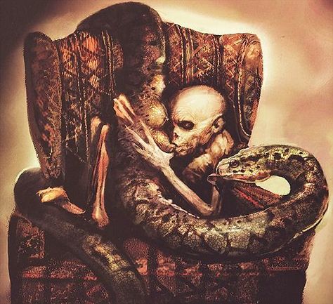 Disturbing He Who Must Not Be Named nursing Nagini Voldemort Concept Art, Lord Voldemort Tom Riddle, Harry Potter Creatures, Harry Potter Movie, Harry Potter Illustrations, Harry Potter Tumblr, Lord Voldemort, Harry Potter Films, Harry Potter Pictures