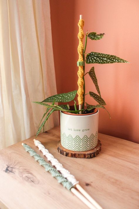 "Eco-friendly macramé bamboo plant support to display in your indoor potted plants. Made of 100% natural biodegradable cotton cord wrapped around a bamboo wooden stick.  Show off your favourite plants with the boho macramé design that compliments the decorative pots and supports your \"babies\"! These stakes are a reusable décor item that you can pass onto other plants once too grown. Secure with a plant tie or a piece of string.  Available in variety of colours to match your style. Choose from Macrame Plant Hanger Display, Diy Plant Support Pole, Propagation Macrame, Macrame Trellis, Plant Supports Diy, Diy Plant Accessories, Macrame Propagation Station, Plant Supports Ideas, Macrame Stick