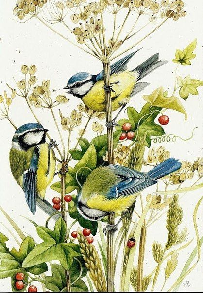 Blue Bird Illustration, Yellow Birds, Painting Birds, Marjolein Bastin, Nature Artists, Flowers Illustration, Flowers Embroidery, Birds And Flowers, Bird Artwork