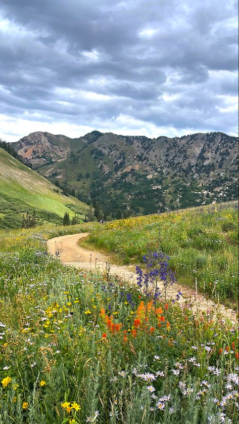 Nature Mountains Landscape, Hike View Aesthetic, Country Mountains Aesthetic, Colorado Core Aesthetic, Garden In The Mountains, Photo Landscape Nature, Vision Board Nature Aesthetic, Hiking In The Mountains Aesthetic, Spring Hiking Aesthetic