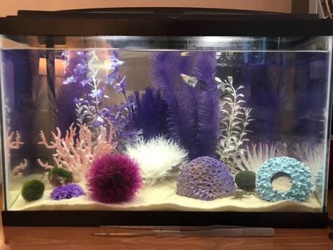 Artificial Aquarium Ideas, Pink Fish Tank Ideas, Girly Fish Tank Ideas, Pink Fish Tank, Pink Aquarium, Aquarium Bowl, Turtle Enclosure, Coral Fish Tank, Axolotl Tank