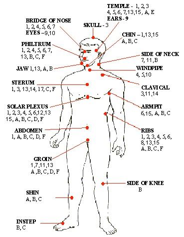 Human Pressure Points, Head Diagram, Body Pressure Points, Boxing Workout Beginner, Self Defence Training, Data Science Learning, Acupressure Therapy, Self Defense Moves, Reflexology Chart