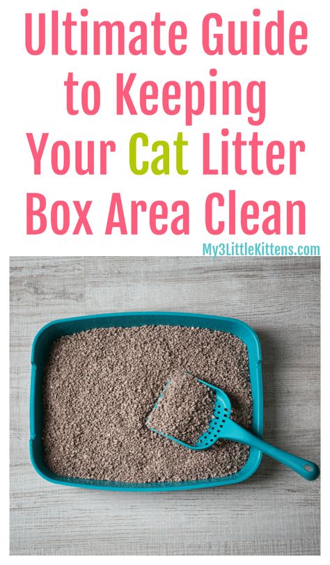 Ultimate Guide to Keeping Your Cat Litter Box Area Clean. These tips for your kitty are cat friendly and easy! Cat Liter, Tidy Cat Litter, Best Litter Box, Litter Tracking, Liter Box, Cat Area, Best Cat Litter, Cleaning Litter Box, Cat Litter Tray