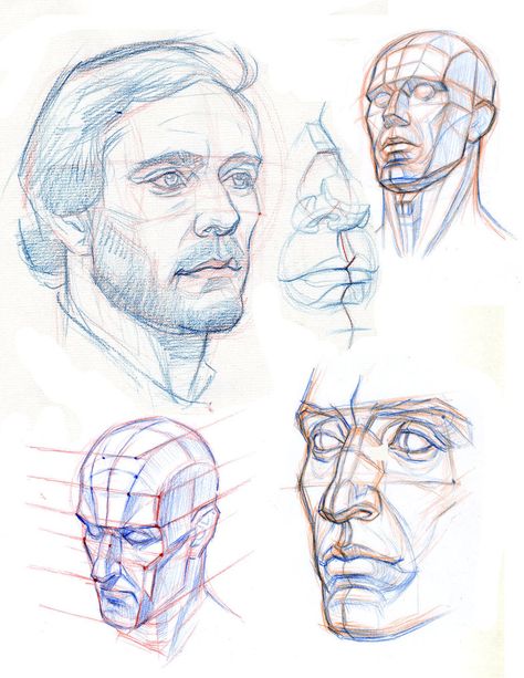 Head Sketches, Planes Of The Face, Face Anatomy, 얼굴 드로잉, Drawing Heads, Human Anatomy Drawing, 얼굴 그리기, Anatomy Sketches, Anatomy For Artists