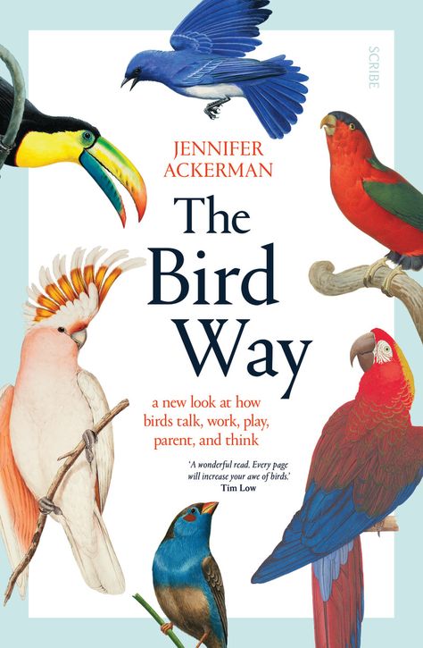 The Bird Way | Book | Scribe Publications Bird Book Illustration, Bird Book Cover, Mindfulness Books, Nature Books, Bird Book, Scientific Research, Incredible Creatures, Wild Creatures, The Genius