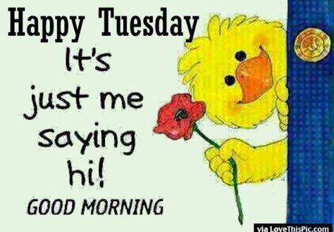 Here are 50 Tuesday quotes with your favorite cartoon characters like snoopy, minions, charlie brown, strawberry short cake, hello kitty, disney, and more! Good morning happy Tuesday! Hello Quotes, Hi Quotes, Funny Good Morning, Funny Good Morning Images, Happy Tuesday Quotes, Thinking Of You Quotes, Good Morning Tuesday, Just Saying Hi, Hug Quotes