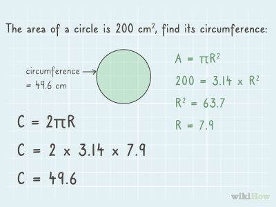 How to Find the Circumference of a Circle Using Its Area -- via wikiHow.com Circle Formula, Circumference Of A Circle, Value Of Pi, Area Of A Circle, Prime Factorization, Kingdom Plantae, Standard Form, Square Roots, Order Of Operations