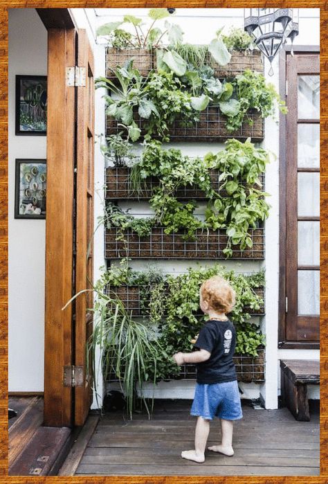 Vertical Herb Gardens, Herb Garden Wall, Small Herb Gardens, Jardim Diy, Vertical Garden Design, Herb Garden In Kitchen, نباتات منزلية, Vertical Vegetable Garden, Vertical Herb Garden