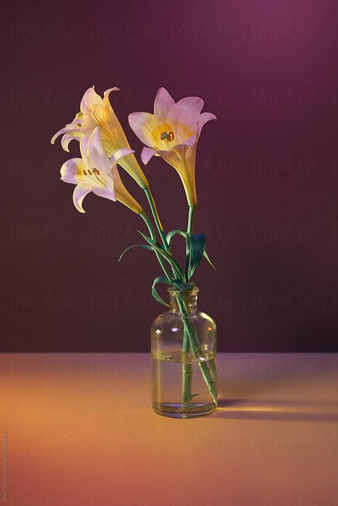 Bunch Of White Lilies In A Vase. | Stocksy United Flower In A Glass Vase, Flowers In Vase Photography Still Life, Vase Reference Photos, Flowers Vase Arrangements, Vase Of Flowers Reference, Flowers In Vase Reference Photo, Flower In A Vase Painting, Vases Photoshoot, Flowers In A Vase Photography