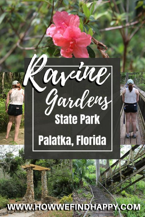 Nature, Palatka Florida, Florida State Parks, Visit Usa, Adventure Activities, Usa Travel Destinations, United States Travel, Florida Travel, North America Travel