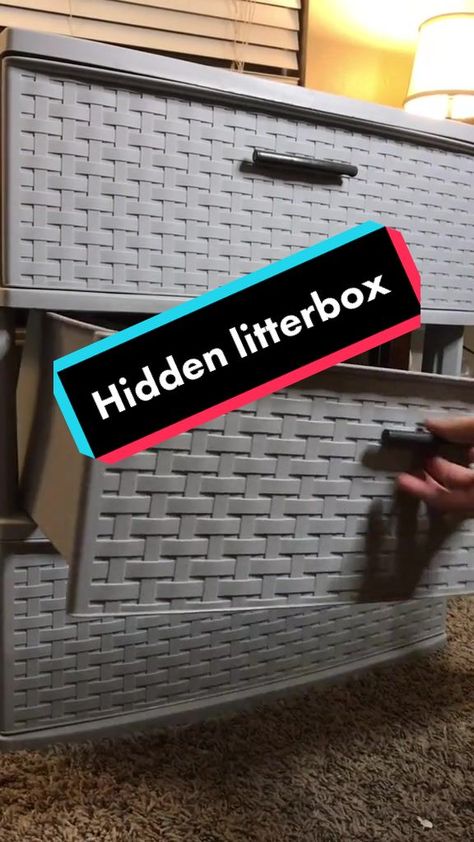 DIY HIDDEN LITTER BOX #QuickerPickerRapper #DIY #catsoftiktok #catmom #catdad #cats #PetsOfTikTok #diycatlitterbox #catlitterbox #fyp Liter Box Ideas Hidden Diy, Hide Cat Box Ideas, Diy Hidden Cat Litter Box Ideas, Litter Box Ideas Hidden Diy, Hidden Litter Boxes Diy, Diy Hidden Litter Box, Hidden Cat Litter Box Ideas, Cat Box Hide, Diy Litter Box Cover