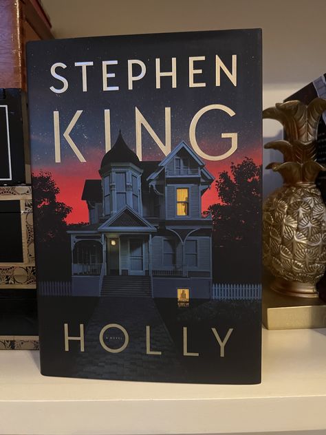 Holly #BookReview Stephen King Books, Creepy Books, Elderly Couples, Detective Agency, Black Person, Private Investigator, Get The Party Started, Book Reviews, Stephen King