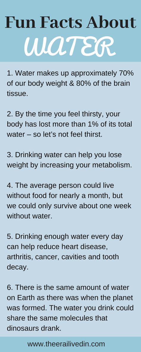 Fun facts about drinking water that'll help you see the reasons why water is so essential for our existence and why staying hydrated is the key o our healthy living. #theerailivedin #infografic #dehydration #hydration Benefits Of Hydration, Why Water Is Important, Water Nutrition Facts, Drink Water Motivation, Facts About Water, Wellness Event, Safety Meeting, Water Facts, Water Health Benefits