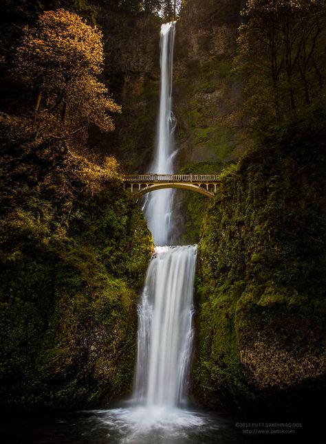 Can you just imagine, how amazing it would be to be on a train and see this from your window?  - Multnomah Falls, Oregon, Usa Magical Bridge, Amazing Bridges, Multnomah Falls Oregon, Beautiful Bridges, Old Bridges, Journal Prompt, Multnomah Falls, Belle Nature, Air Terjun