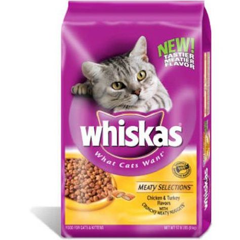 Cat Supplies, Cat Snacks, What Cat, Cat Food Bowl, Cat Feeder, Dry Cat Food, Cat Pet Supplies, Cat Accessories, Cat Food