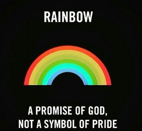 Gods promise Rainbow God's Promise, The Rainbow Is Gods Promise, Rainbow Gods Promise Quotes, God's Rainbow, Gods Promises Quotes, Rainbow God, Gay Symbols, Rainbow Meaning, Gods Promise