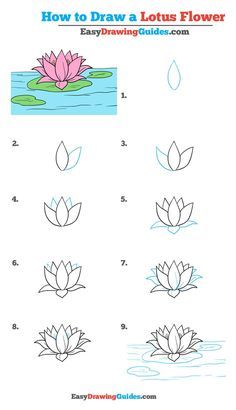 Learn How to Draw a Lotus Flower: Easy Step-by-Step flDrawing Tutorial for Kids and Beginners. #LotusFlower #drawingtutorial #easydrawing See the full tutorial at https://easydrawingguides.com/draw-lotus-flower-really-easy-drawing-tutorial/. Easy Drawing Tutorials For Beginners, How To Draw A Greenhouse, How To Draw Lily Pads, Diy Easy Drawings, Drawing Succulents Step By Step, Illustrator Drawing Tutorials, How To Draw Step By Step Easy Cute, How To Draw Beginner Step By Step, Tropical Flowers Drawing Step By Step