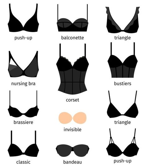 Bra vector by Stock-Smart-Start on @creativemarket Inner Clothes For Women, Bra Types For Dresses, Types Of Bra, Vector Clothes, Fashion Terminology, Fashion Infographic, Bra Design, Clothing Guide, Fashion Terms