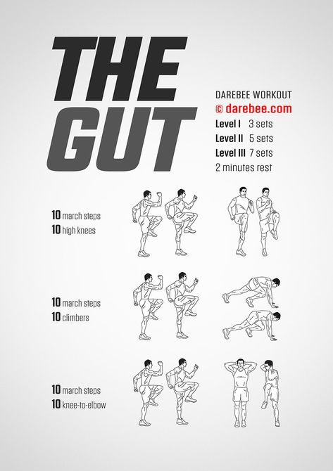 The Gut Workout Darbee Workout, Men Exercises, Hiit Training, High Intensity Workout, Workout Session, Kettlebell Workout, Core Strength, Free Workouts, Fat Burning Workout