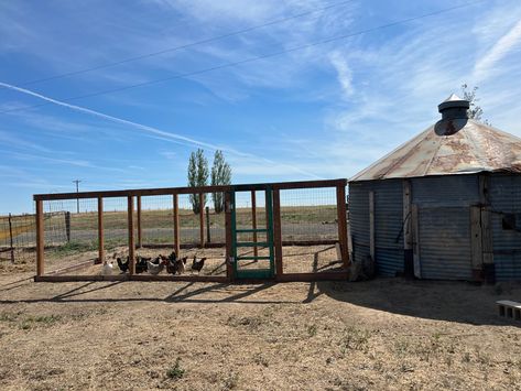 Grain Bin Chicken Coop Ideas, Grain Bin Chicken Coop Silo House, Chicken Coop Silo, Silo Chicken Coop Ideas, Silo Chicken Coop Hen House, Grain Silo Chicken Coop, Silo Chicken Coop, Grain Bin Chicken Coop, Quack Shack