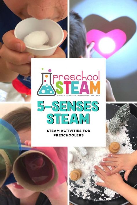 Exploring the 5 Senses with STEAM 5 Senses Preschool, Sensory Basket, 5 Senses Activities, Art And Math, Senses Preschool, The 5 Senses, Kindergarten Stem, Body Preschool, Engineering Art