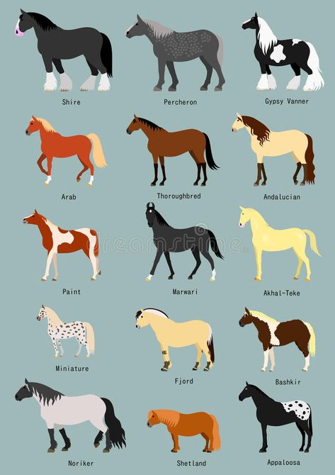 Horse breeds set. With breed name #Sponsored , #AFFILIATE, #SPONSORED, #Horse, #set, #breed, #breeds Friesan Horse, Noriker Horse, Cavalier King Charles Spaniel Puppy, King Charles Spaniel Puppy, Charles Spaniel Puppy, Different Horse Breeds, Medieval Horse, Horse Art Drawing, Horse Markings