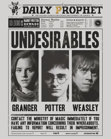 Imprimibles Harry Potter Gratis, Harry Potter Notebook, Harry Potter Planner, Harry Potter Movie Night, Imprimibles Harry Potter, Daily Prophet, Harry Potter Print, Harry Potter Bday, Harry Potter Classroom