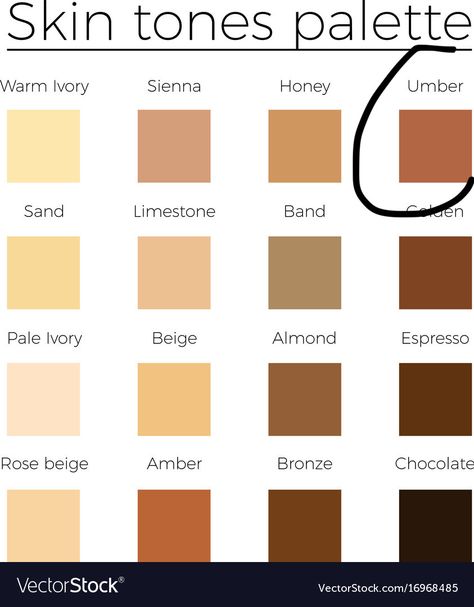 Skin Colours Chart, Character Skin Tones, Skin Colour Chart, Honey Skin Color, Skin Colour Palette, Skin Tones Palette, Skin Tone Color Palette, Skin Color Shades, Honey Skin Tone