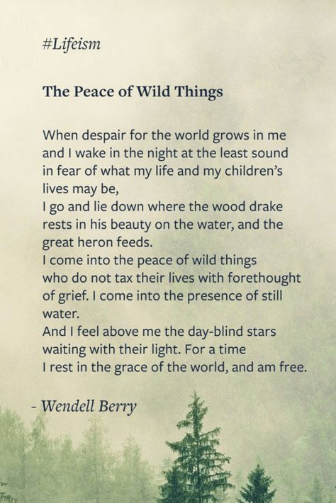 The Peace Of Wild Things Poem, Peace Of The Wild Things, The Peace Of Wild Things, The Peace Of Wild Things Wendell Berry, Find Me Where The Wild Things Are, Poetic Words Beautiful Things, Wendell Berry Poems, Wendell Berry Quotes, Peace Of Wild Things