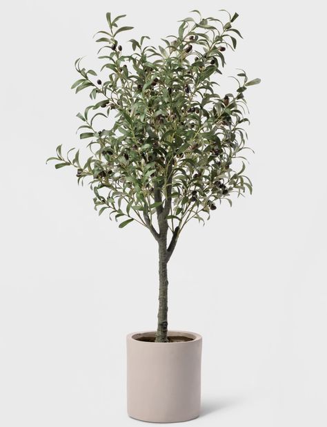 Psalm 129, Faux Trees, Potted Olive Tree, Fiddle Leaf Tree, Entryway Office, Faux Olive Tree, Silk Tree, Cement Pots, Faux Tree