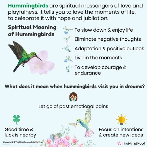Humming Bird Symbolism Meaning, Advice From A Hummingbird, Spiritual Bird Meanings, Hummingbird Meaning Quotes, Seeing A Hummingbird Meaning, Hummingbird Spirit Animal, Spiritual Meaning Of Hummingbird, Hummingbird Quotes Inspirational, Hummingbird Meaning Spiritual
