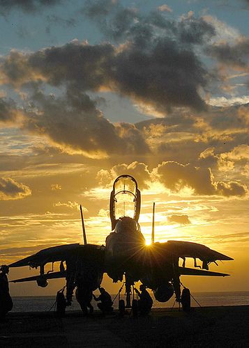 F-14d Super Tomcat, Tomcat F14, Photo Avion, Aviation Fuel, F14 Tomcat, Rc Tank, Air Fighter, Aircraft Photos, Military Jets