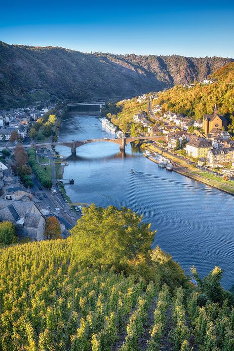 Friendly faces, marvelous castles and walks through vineyards await as you journey through the historic town of Cochem, Germany. Nature, Cochem Germany, South Germany, Hohenzollern Castle, Southern Germany, Famous Castles, Cities In Germany, Sleeping Beauty Castle, Crystal River