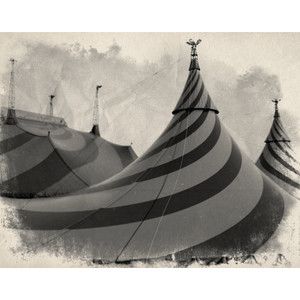 Vintage Circus tents Vintage Circus Photos, Old Circus, Circus Aesthetic, Circus Sideshow, Dark Circus, Night Circus, Circus Tent, Vintage Carnival, Circus Theme