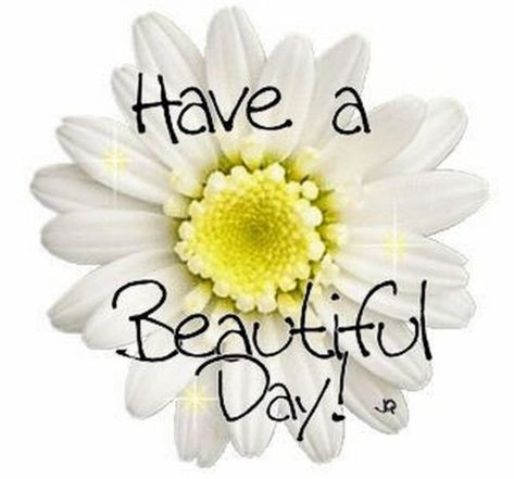 Have A Great Day Beautiful, Beautiful Day Quotes, Great Day Quotes, Good Day Images, Beautiful Meme, Good Day Wishes, Good Morning Handsome, Happy Day Quotes, Evening Quotes