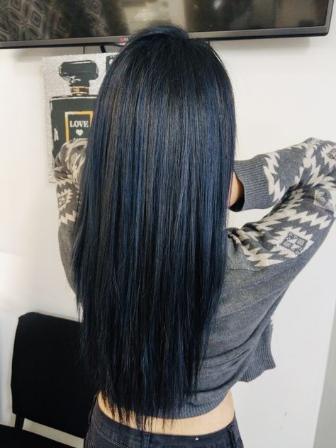 Black Hair With Hint Of Blue, Dark Blue With Black Hair, Asian Blue Black Hair, Black Blue Hair Highlights, Brown Hair W Blue Highlights, Blue And Black Hair Highlights, Black Hair With Navy Blue Highlights, Jet Black Hair With Highlights Blue, Blue Over Black Hair