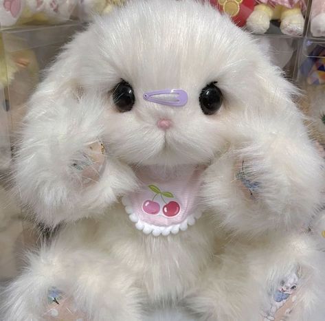 Makeup Memes, Pet Bunny, Kawaii Plush, Kawaii Plushies, Kawaii Animals, Cute Teddy Bears, Bunny Plush, Cute Stuffed Animals, Cute Plush