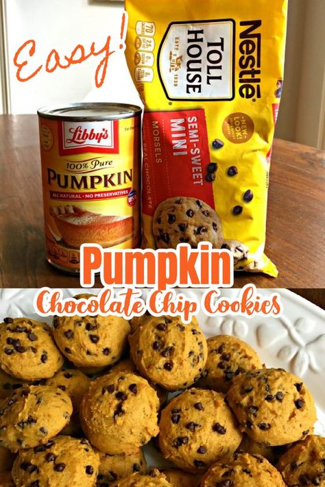 PUMPKIN CHOCOLATE CHIP COOKIES (SOFT BATCH) - Fall Favorite!! Adult and kid approved!! SUPER EASY TO MAKE!! Pumpkin Cookies Recipes, Easy Pumpkin Cookies, Chocolate Chip Cookies Soft, Pumpkin Chocolate Chip Cookie Recipe, Pumpkin Cookies Easy, Soft Batch, Cookies Pumpkin, Pumpkin Cookie Recipe, Recipes Pumpkin