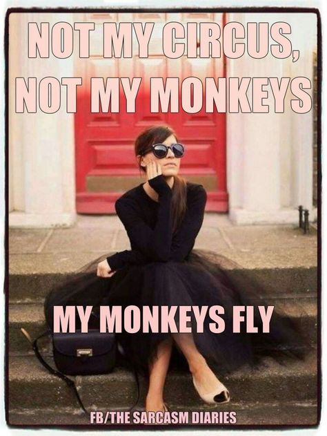 Not my circus, not my monkeys. My monkeys fly. Work Humour, Humour, Diy Gabion, Dog Sleep, Not My Circus, Todays Mood, Twisted Humor, Work Quotes, Work Humor