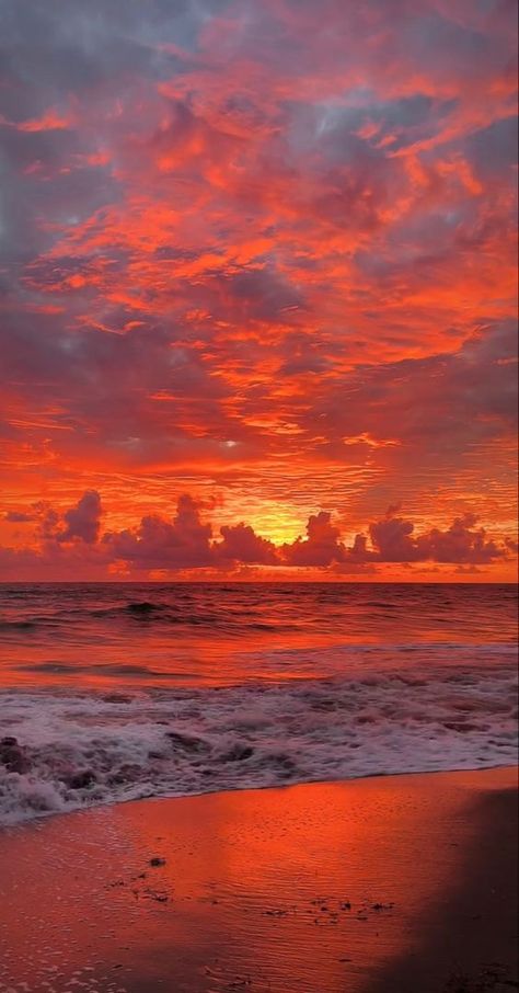 Sunrises And Sunsets | Nature's masterpiece | Facebook Cool Ocean Pictures, Aesthetic Sunset Pics, Sunrises And Sunsets, Paz Mental, Sunrise Pictures, Sunset Rose, Pretty Beach, Pretty Landscapes, Sky Pictures