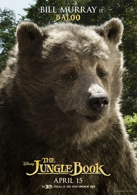 "The Jungle Book" character movie poster, 2016. Bill Murray as Baloo the Bear. PLOT: A live-action movie of the 1967 animated Disney film. The Jungle Book 2016, Baloo Jungle Book, Jungle Book 2016, Jungle Book Movie, Jungle Book Characters, Shere Khan, Friday Movie, Jungle Book Disney, The Jungle Book