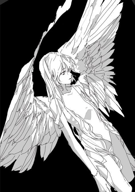 Winged Character Art, Laying Down Side View, Poses With Wings, Wings Pose Reference, Winged Character Poses, Person Crouching, Winged Oc, Character With Wings, Winged Characters