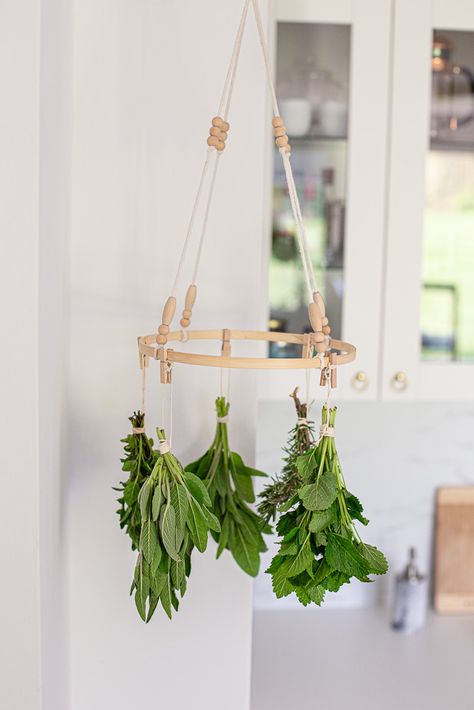 Frosted Candle Jar, Drying Rack Diy, Drying Fresh Herbs, Herb Rack, Frosted Candles, Herb Drying, Herb Drying Racks, Hanging Herbs, Macrame Hanger