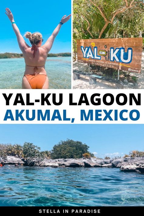 yal ku lagoon mexico Riviera Maya, Mexico, Cancun, Puerto Morelos, Akumal Mexico, Mexico Resorts, Top Travel Destinations, Room Tour, All Inclusive Resorts